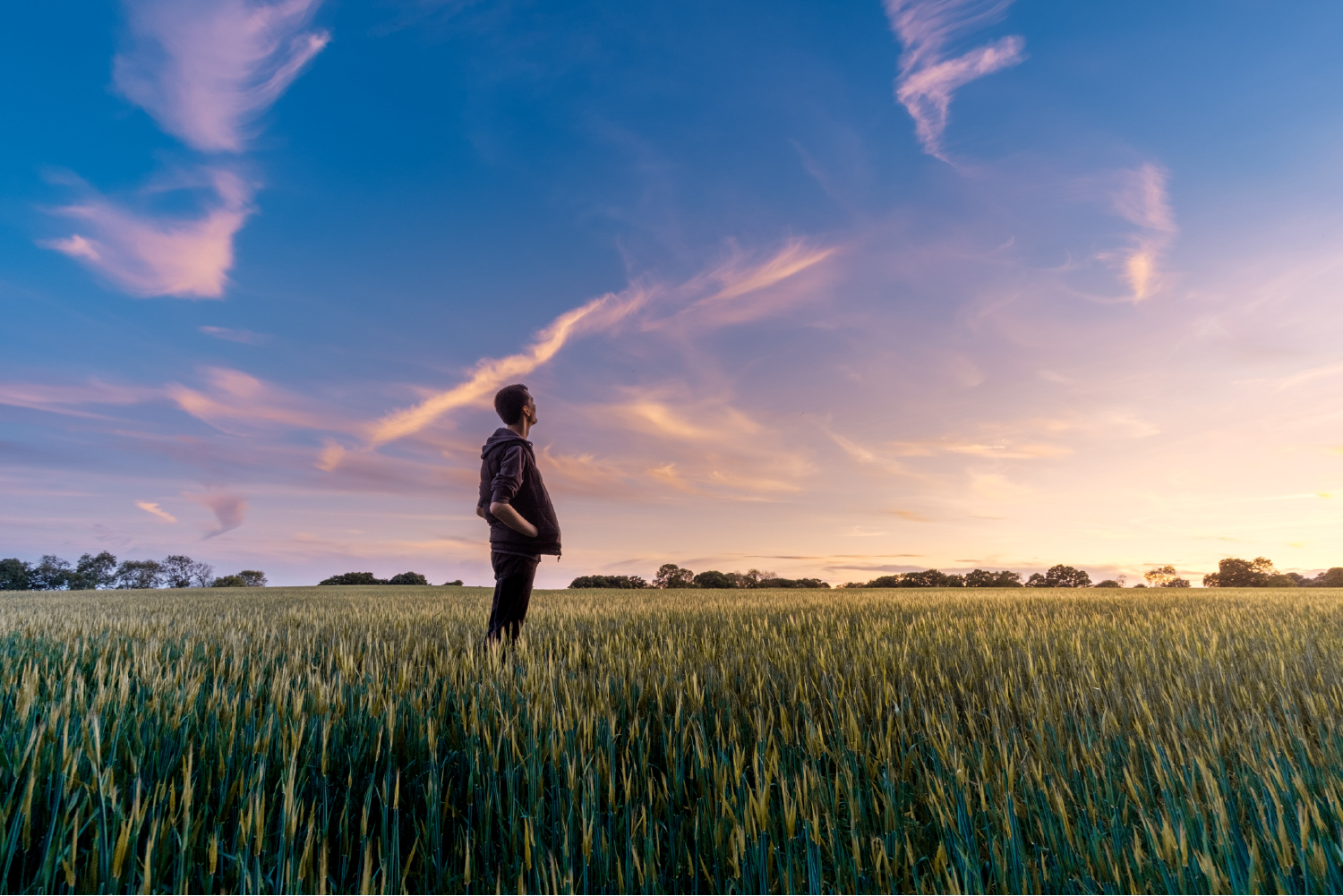 Farmer in field 01