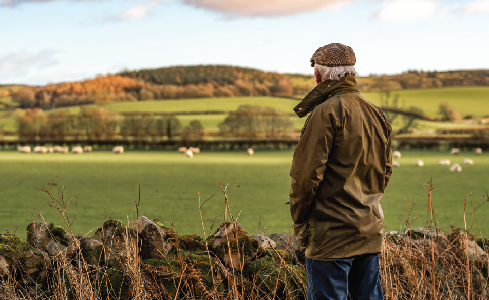 Farmer looking at field 01