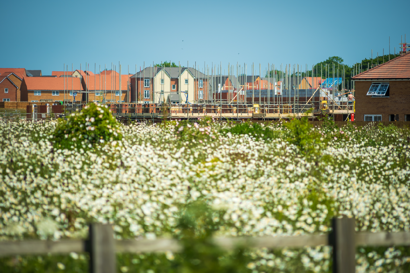 Housing Development Building 01