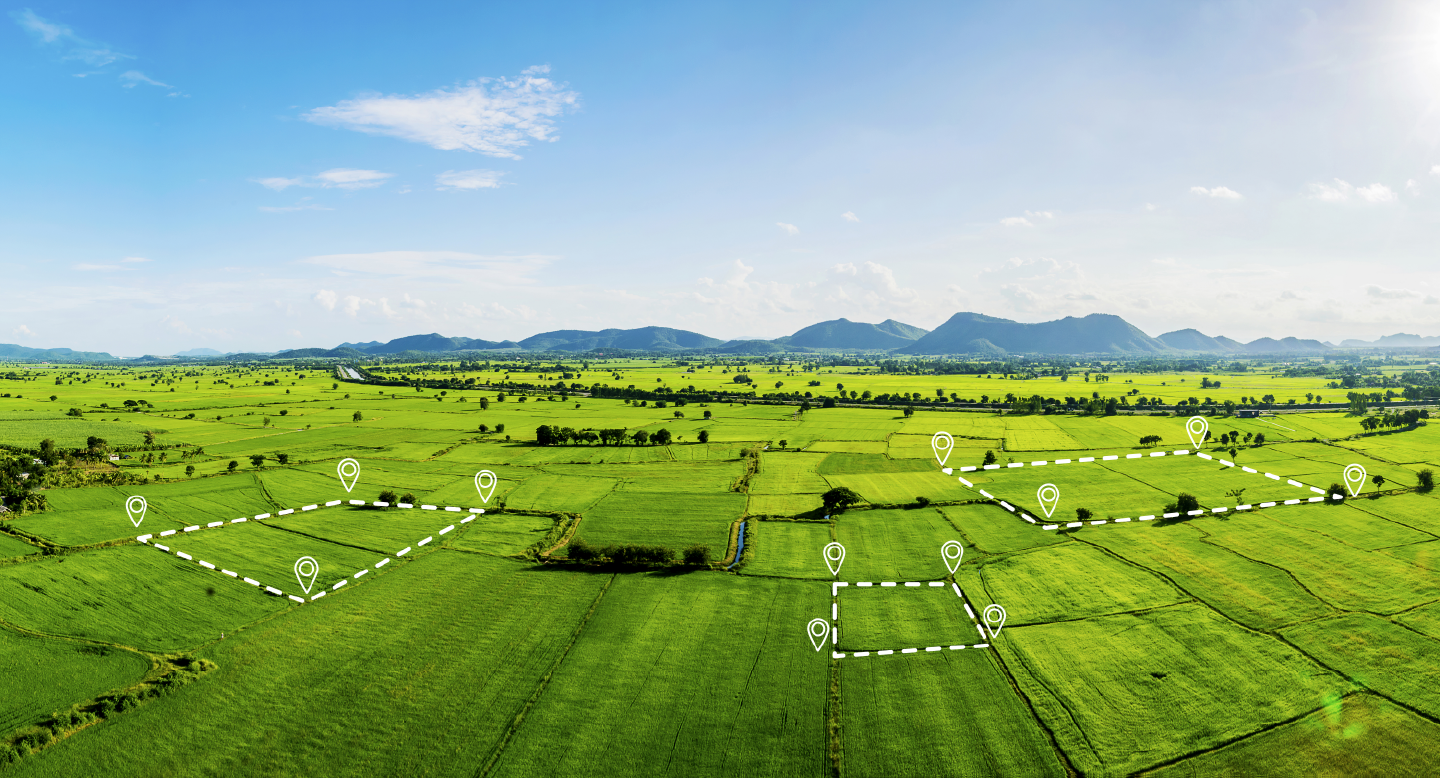 Land opportunity zoning fields 01